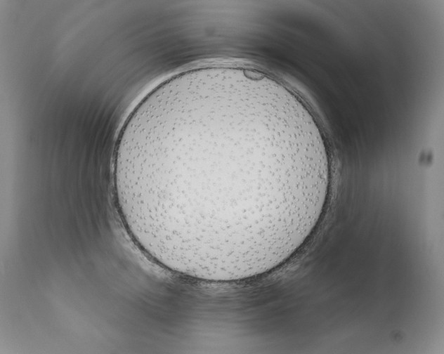 X0000110730852200907101427