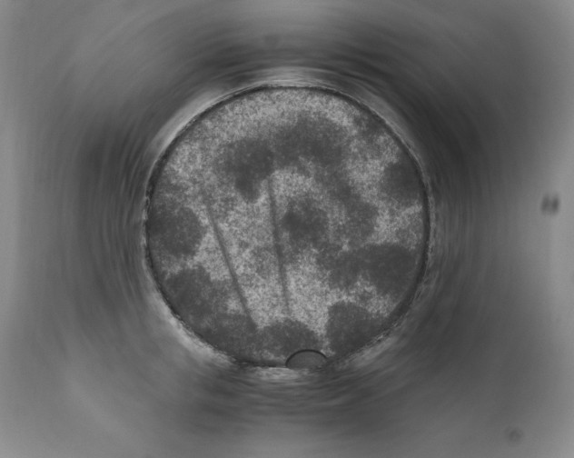 X0000110730853200907101427