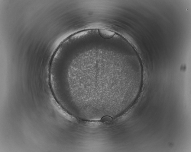 X0000110730854200907101427