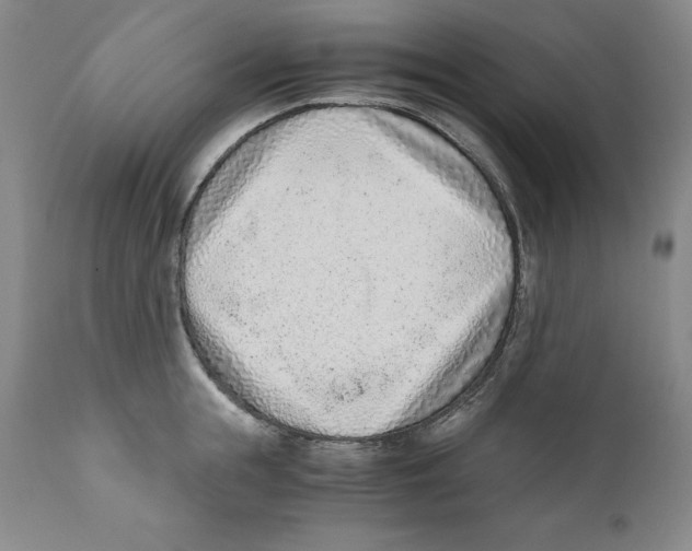 X0000110730855200907101427