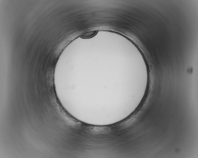X0000110730857200907101427