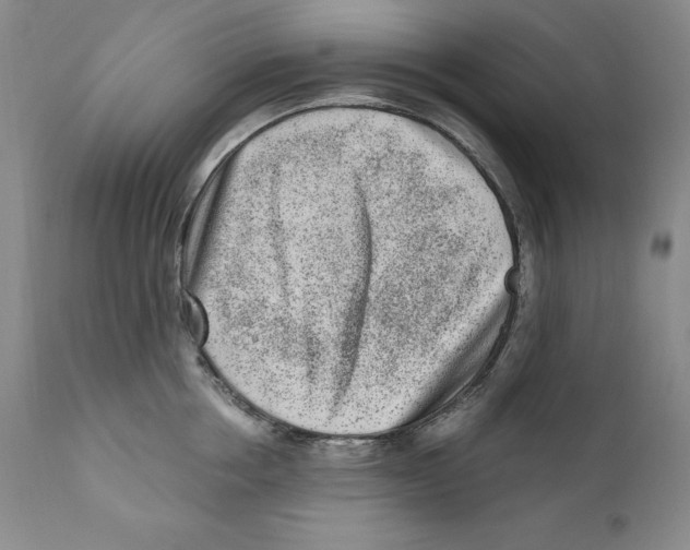 X0000110730858200907101427