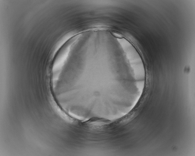 X0000110730859200907101427
