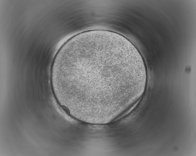 X0000110730862200907101427