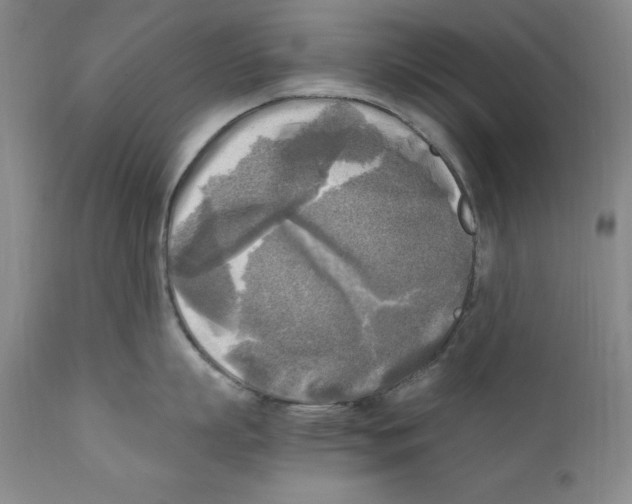 X0000110730863200907101427