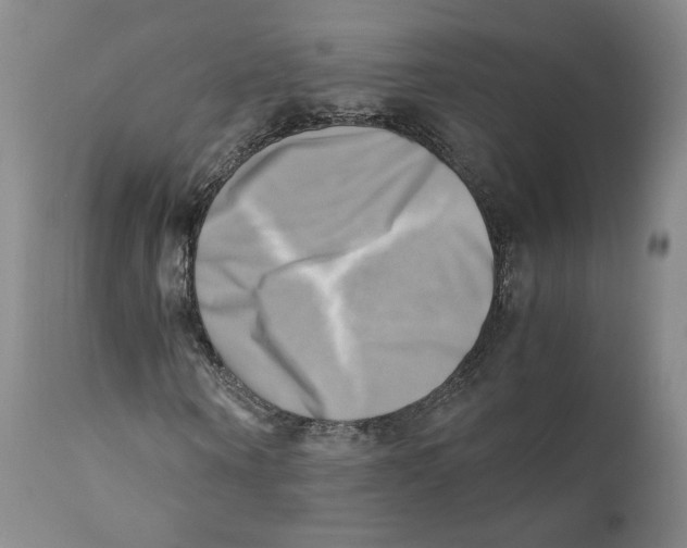 X0000110730866200907101426