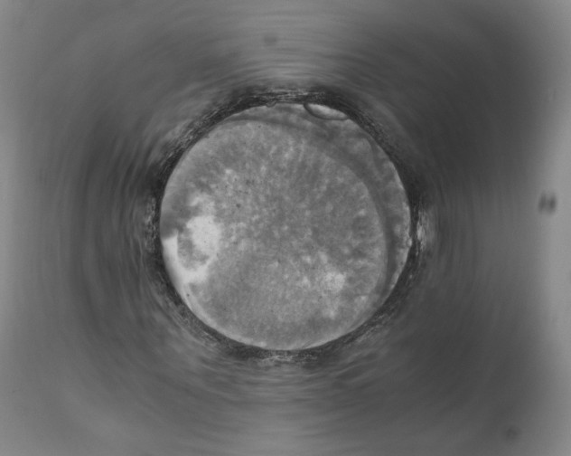 X0000110730867200907101426