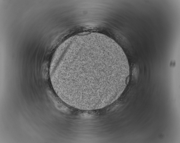 X0000110730868200907101426