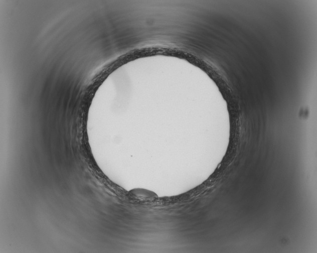 X0000110730872200907101426