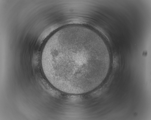 X0000110730874200907101426