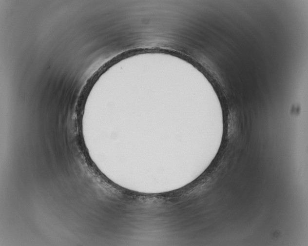 X0000110730876200907101426