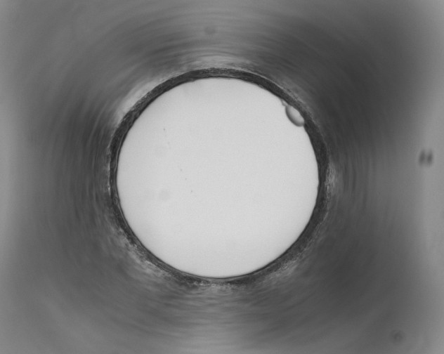 X0000110730877200907101426