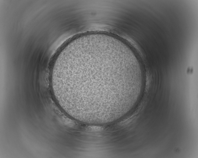 X0000110730878200907101426