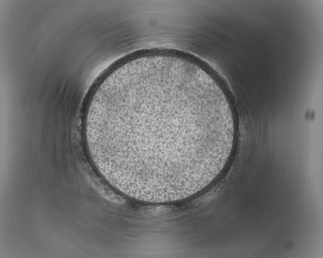 X0000110730879200907101426