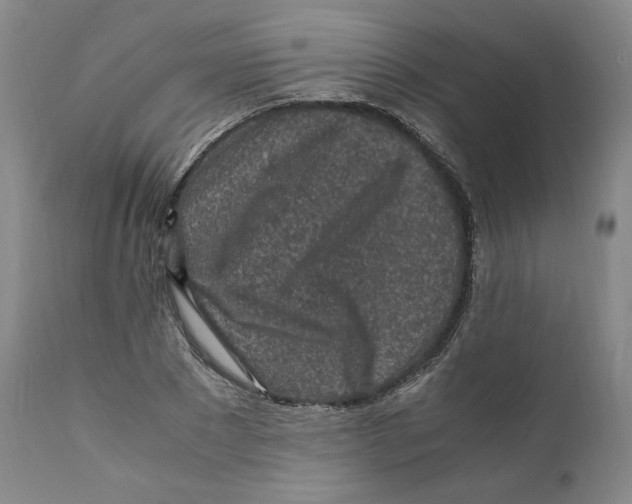 X0000110730881200907101426