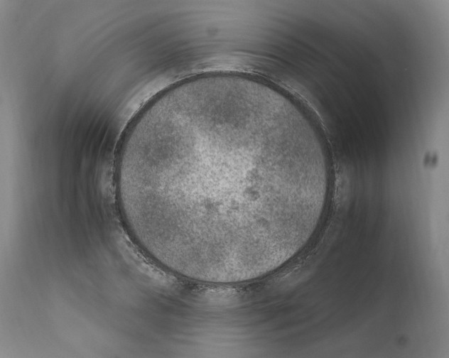 X0000110730882200907101426
