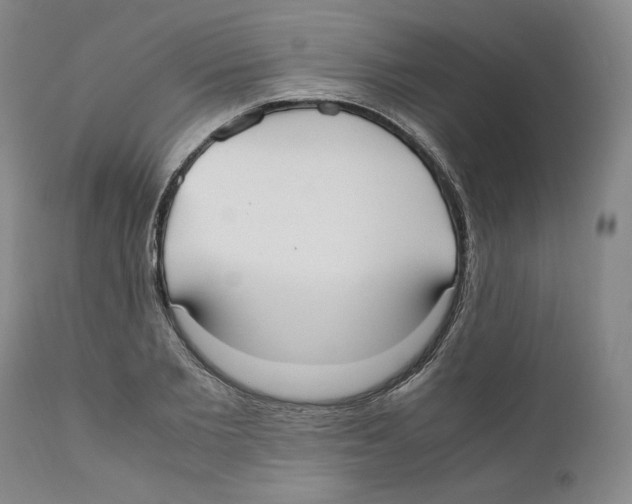 X0000110730885200907101426