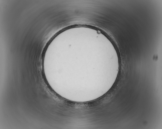 X0000110730887200907101426