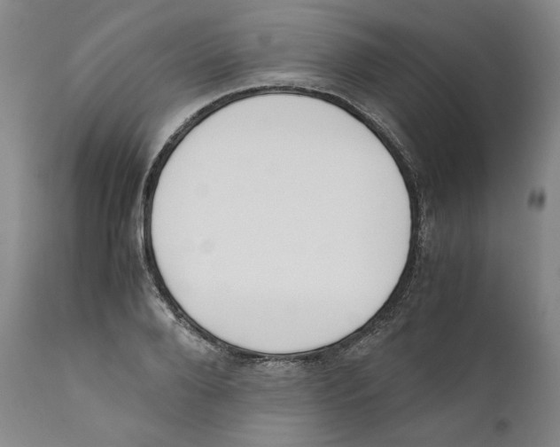 X0000110730888200907101426