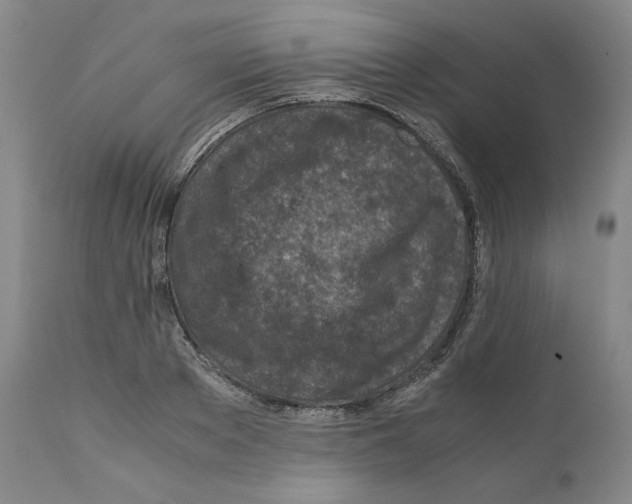 X0000110730889200907101426