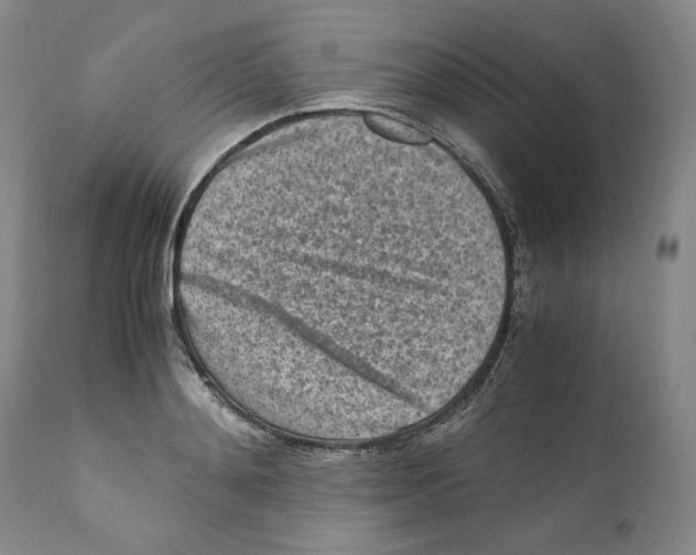 X0000110730892200907101426