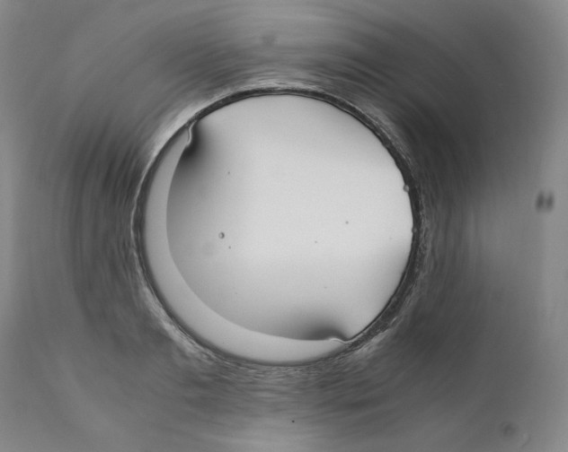 X0000110730893200907101426