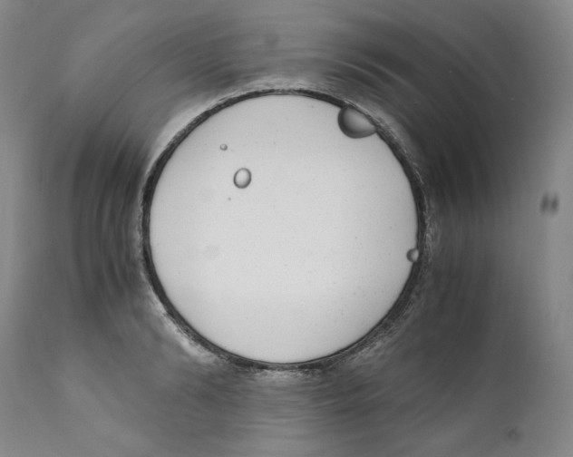X0000110730894200907101426
