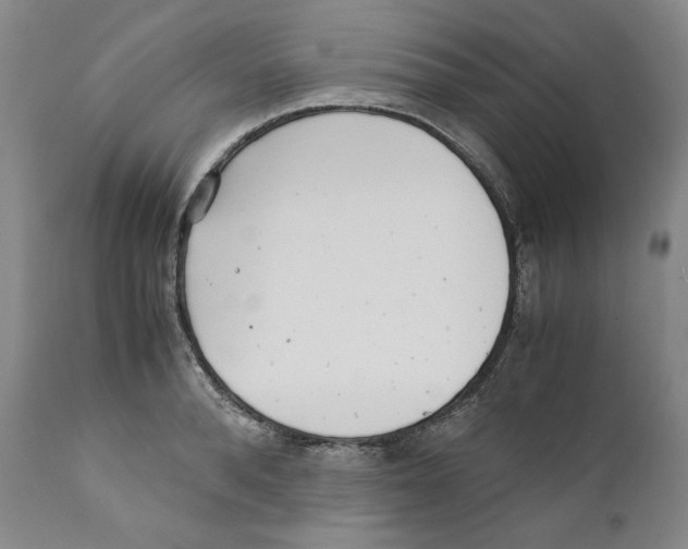 X0000110730896200907101426