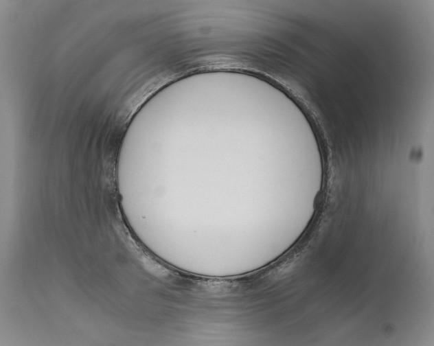 X0000110730897200907101426