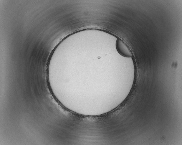 X0000110730898200907101426