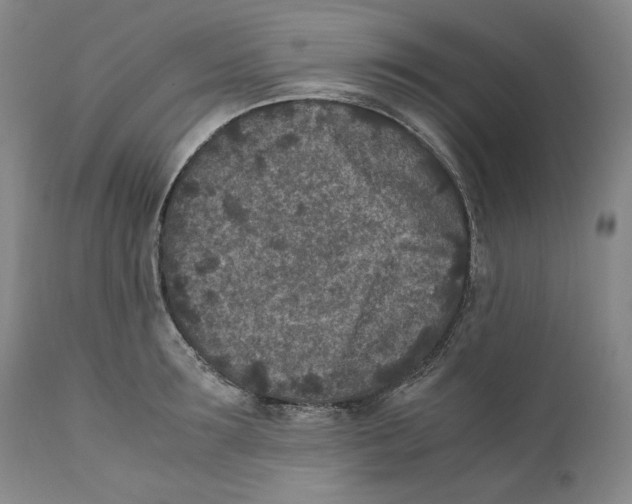 X0000110730899200907101426