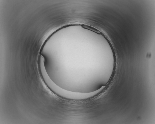 X0000110730901200907101426