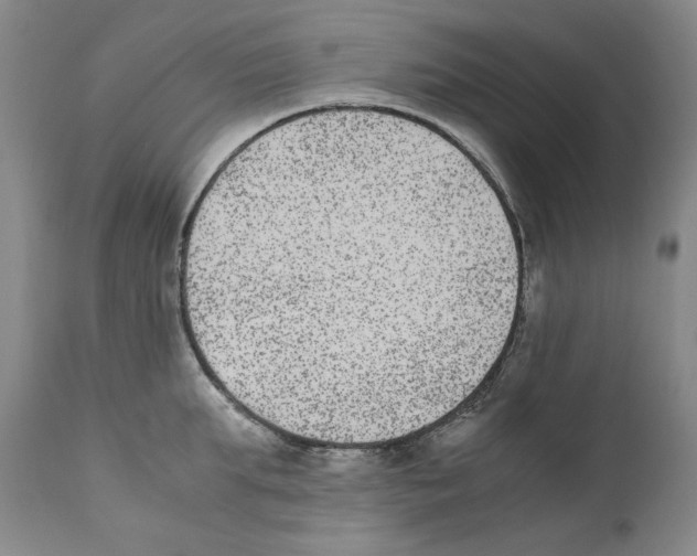 X0000110730903200907101426