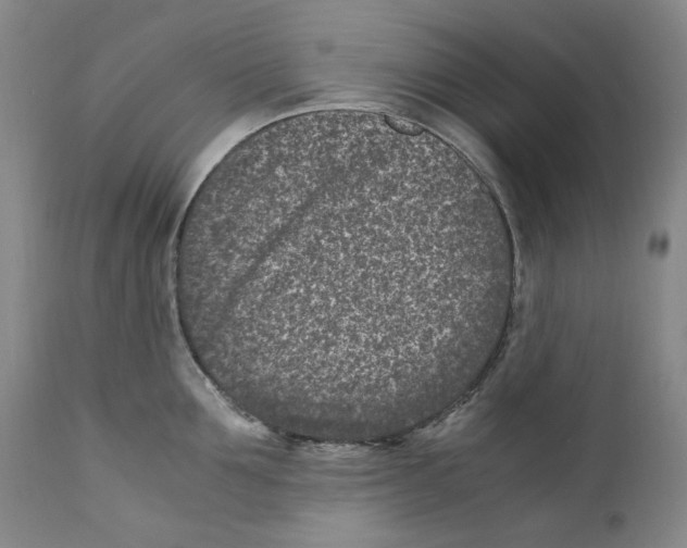 X0000110730907200907101425