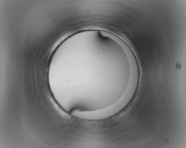 X0000110730909200907101425