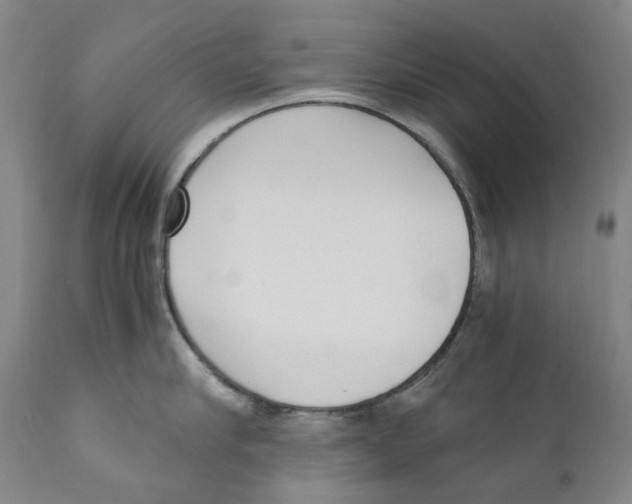 X0000110730910200907101425