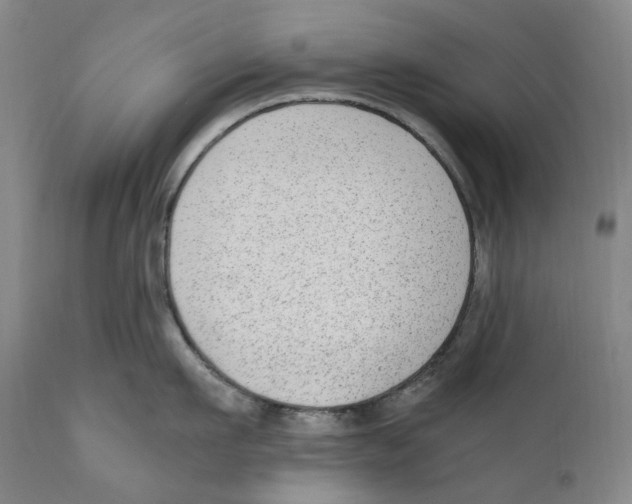 X0000110730911200907101425
