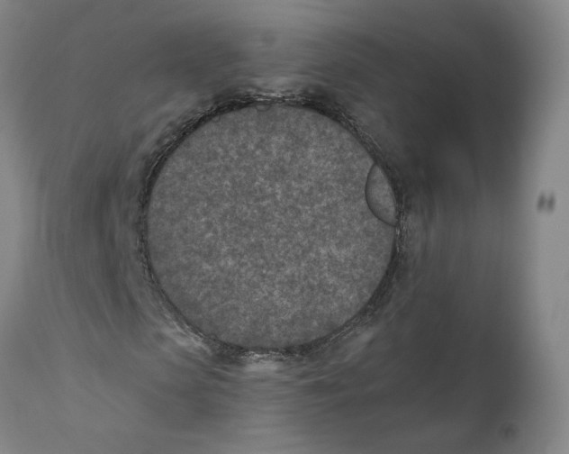 X0000110730913200907101425