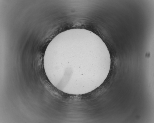 X0000110730914200907101425