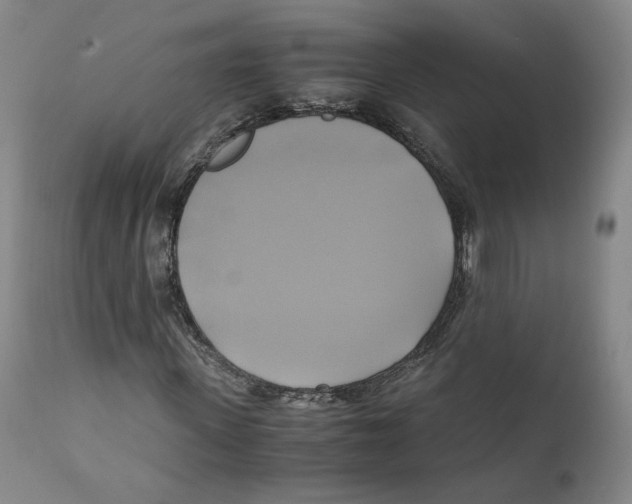 X0000110730915200907101425