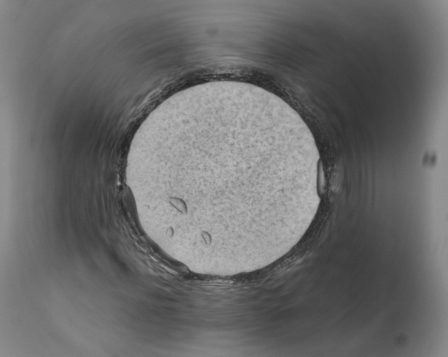 X0000110730916200907101425