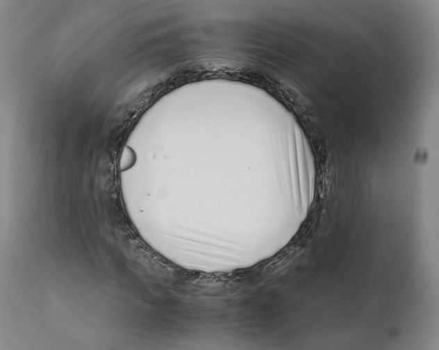 X0000110730917200907101425