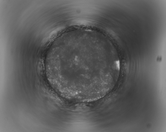 X0000110730918200907101425