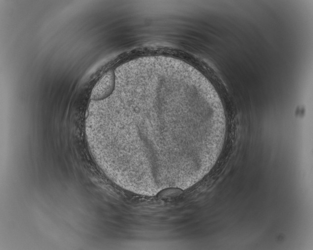 X0000110730919200907101425