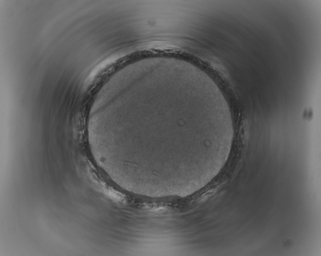 X0000110730920200907101425