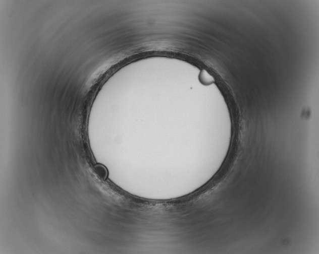 X0000110730922200907101425