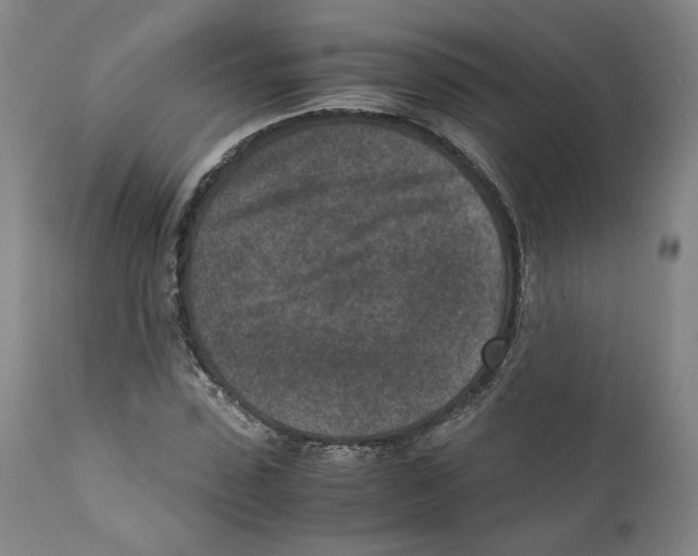 X0000110730923200907101425