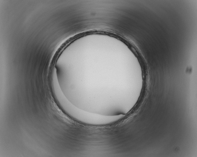 X0000110730924200907101425
