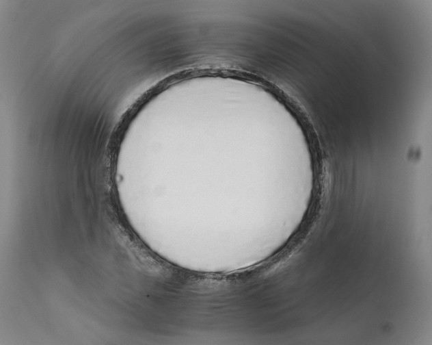 X0000110730925200907101425