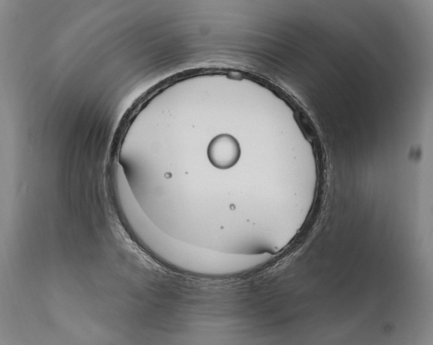 X0000110730928200907101425